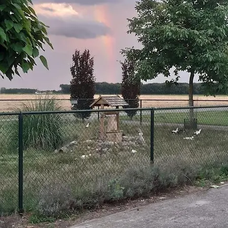 In Authentiek Koetshuis Met Bedstee