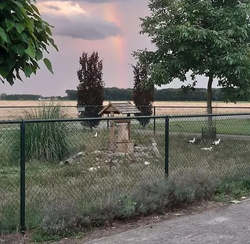 In Authentiek Koetshuis Met Bedstee